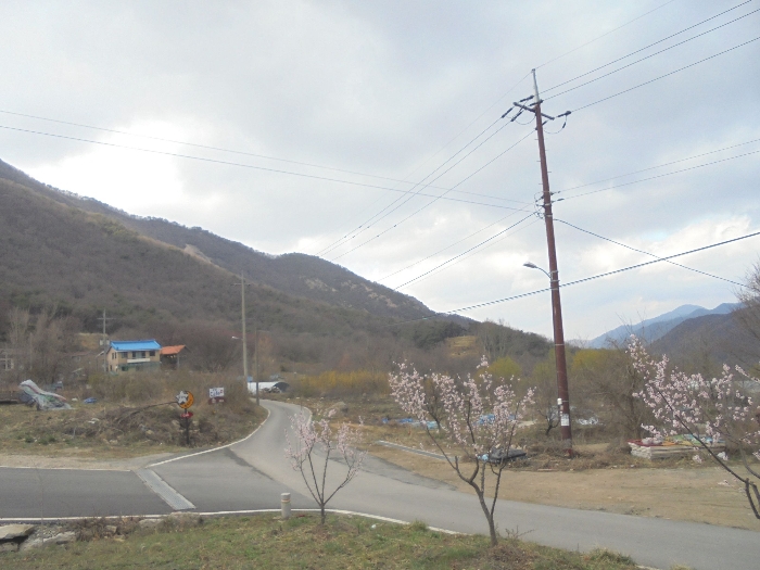 일련번호 1)서측 부분