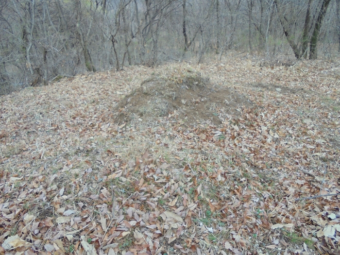 일련번호 1)지상 분묘