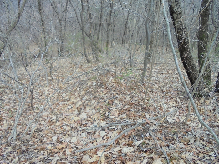 일련번호 1)지상 분묘