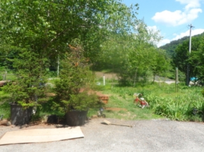 기호 1번 근거리에서 촬영한 것임