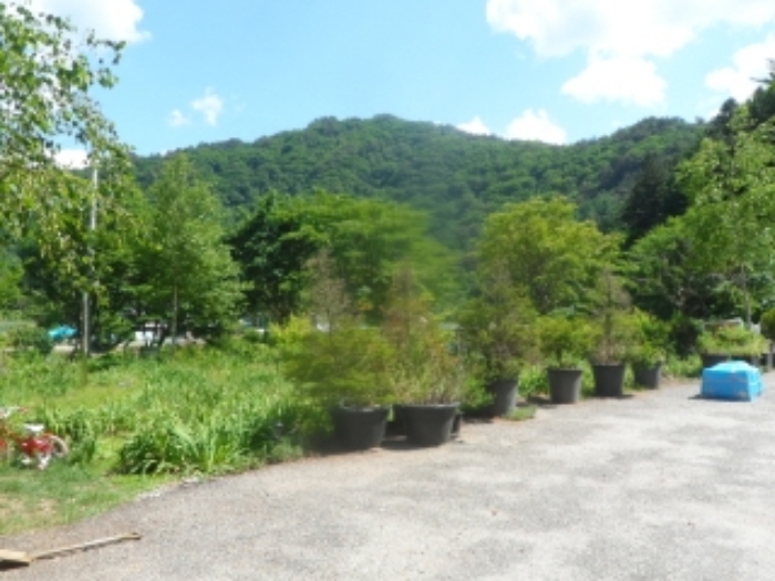 기호 1번 근거리에서 촬영한 것임