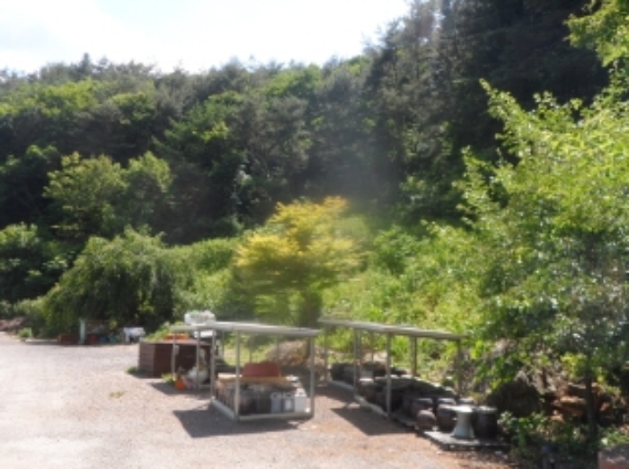 기호 2번 근거리에서 촬영한 것임