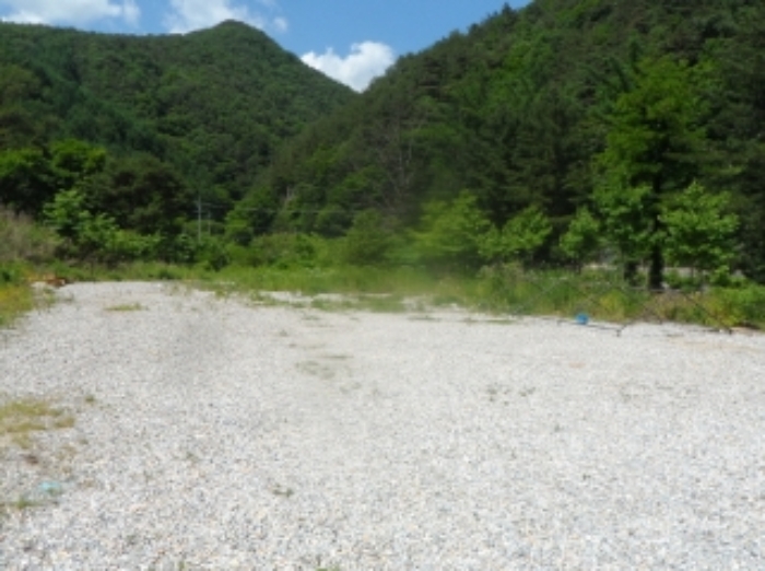 기호 3번 근거리에서 촬영한 것임