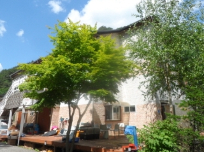 기호 4번 근거리에서 촬영한 것임