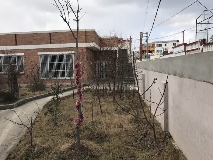 본건 지상 수목