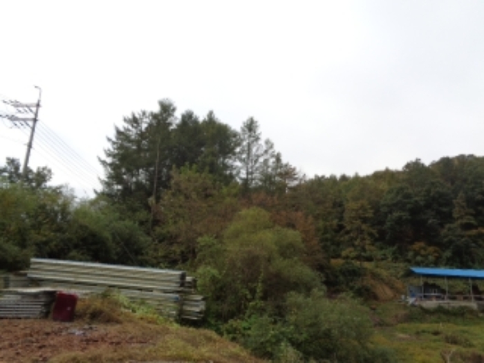 본건 목록5. 토지 전경