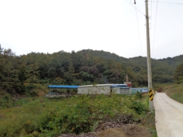 본건 토지 및 공장 전경