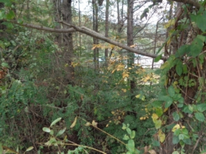 본건 목록4. 토지 전경