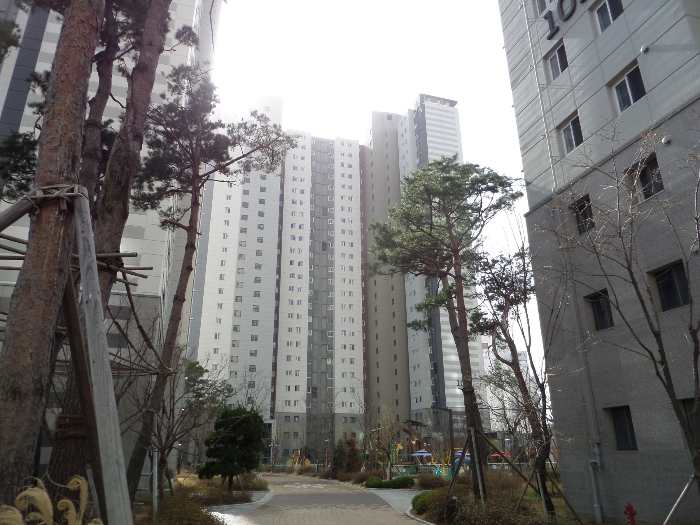 북서측에서 촬영