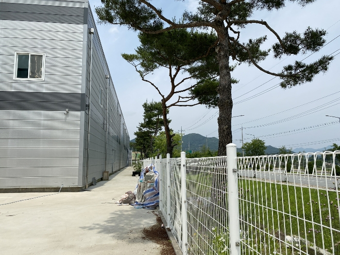 타인 소유 수목