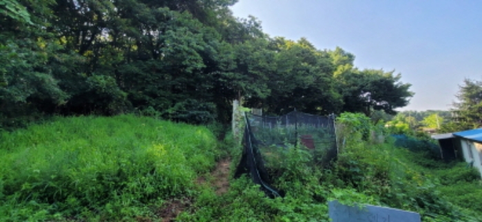 등산로 입구 경계에서 우측방향(경작지 포함)