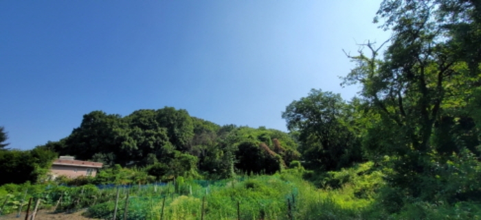 하단부 중앙(마북로247번길76-1 진입부에서 본 좌측 전경)