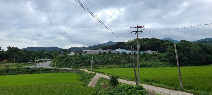 본건 및 주변 전경