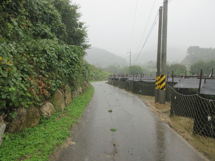 본건 동측 도로주변 전경