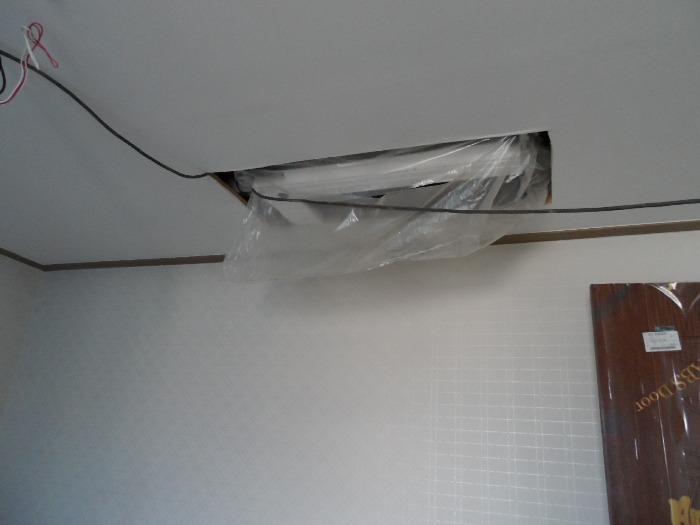 【 본 건 기호 5 - 501호 】