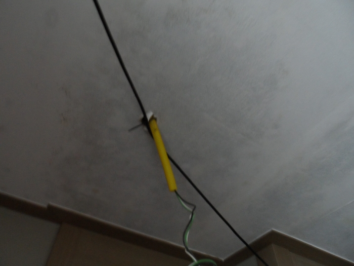 【 본 건 기호 5 - 501호 】