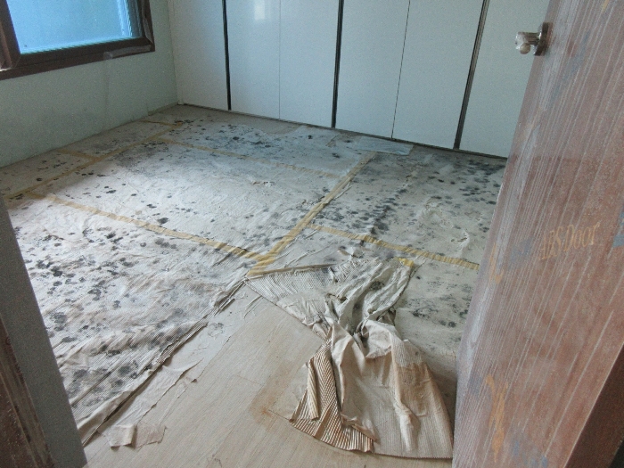 【 본 건 기호 8 - 504호 】