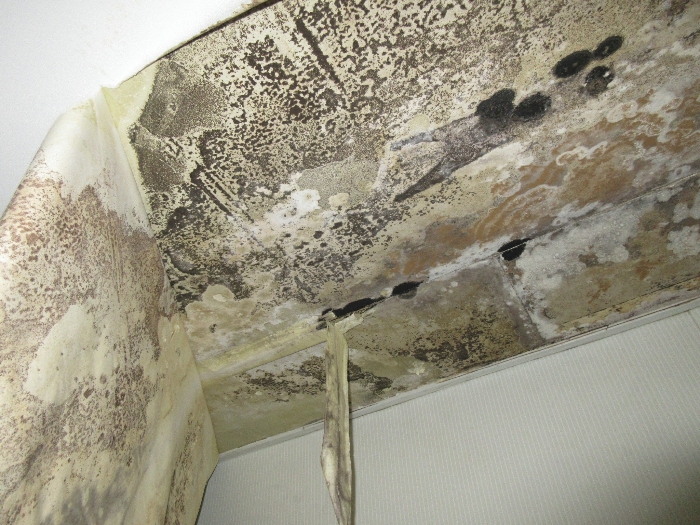 【 본 건 기호 8 - 504호 】