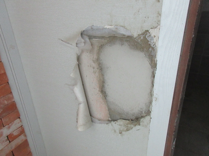 【 본 건 기호 8 - 504호 】