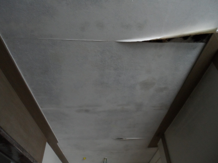 【 본 건 기호 5 - 501호 】