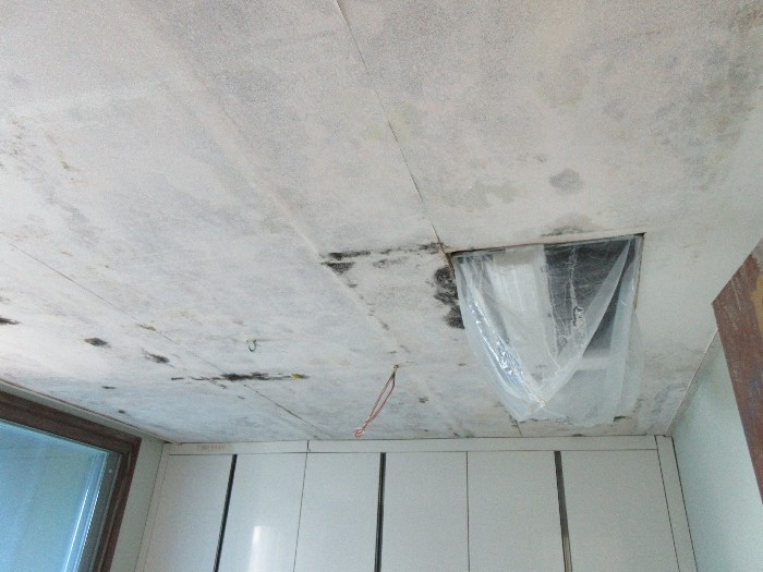 【 본 건 기호 8 - 504호 】