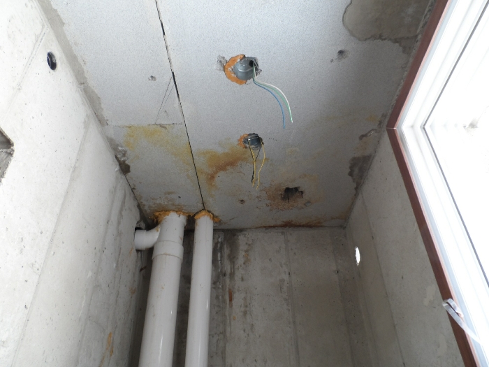 【 본 건 기호 39 - 1303호 】