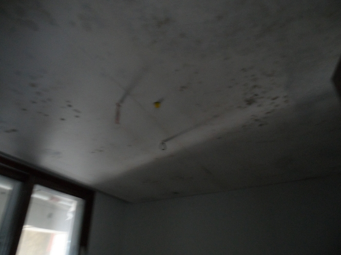 【 본 건 기호 6 - 502호 】