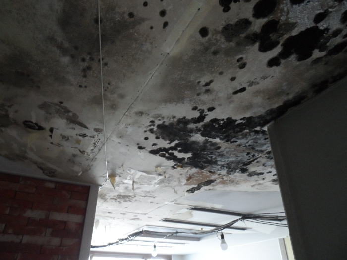 【 본 건 기호 6 - 502호 】