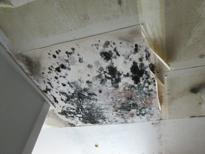 【 본 건 기호 8 - 504호 】