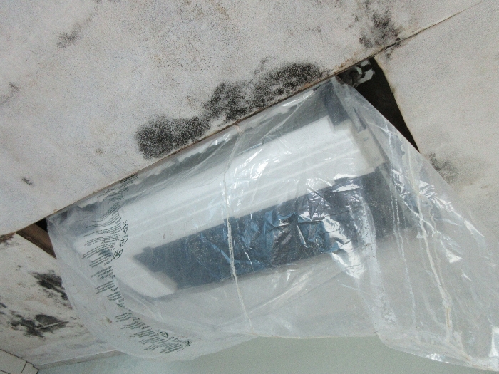 【 본 건 기호 8 - 504호 】