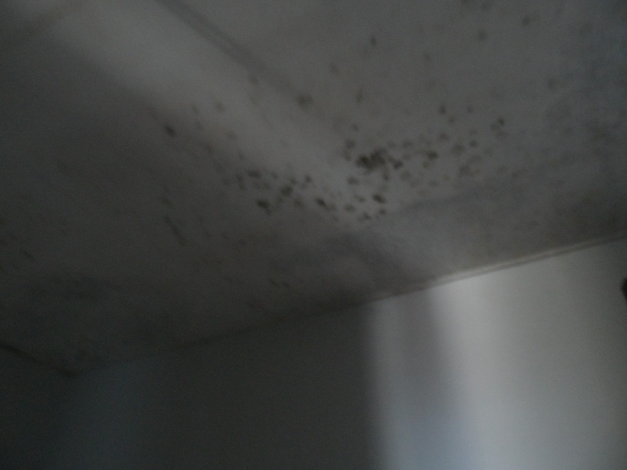 【 본 건 기호 6 - 502호 】