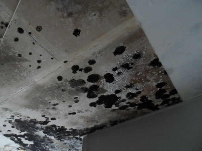 【 본 건 기호 6 - 502호 】