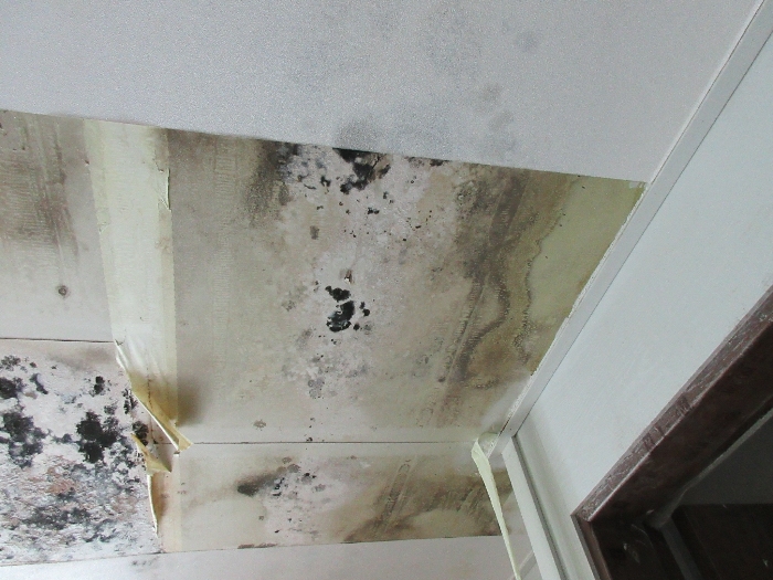 【 본 건 기호 8 - 504호 】