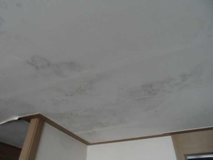 【 본 건 기호 5 - 501호 】