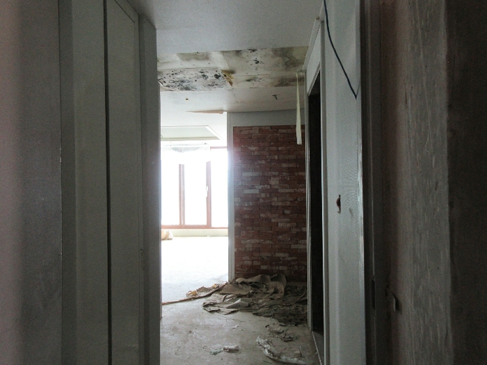 【 본 건 기호 8 - 504호 】