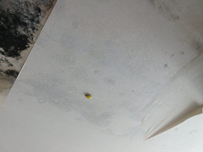 【 본 건 기호 8 - 504호 】