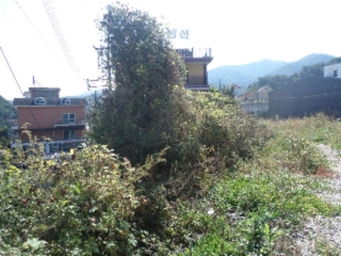 목록 3.토지 전경