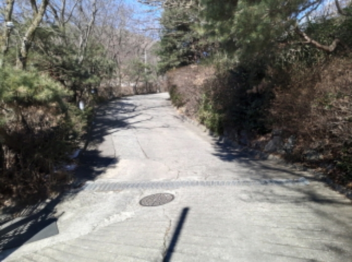 정문에서 건물로 올라가는 도로