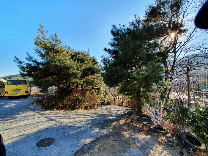 제시외물선(ㅅ) 수목