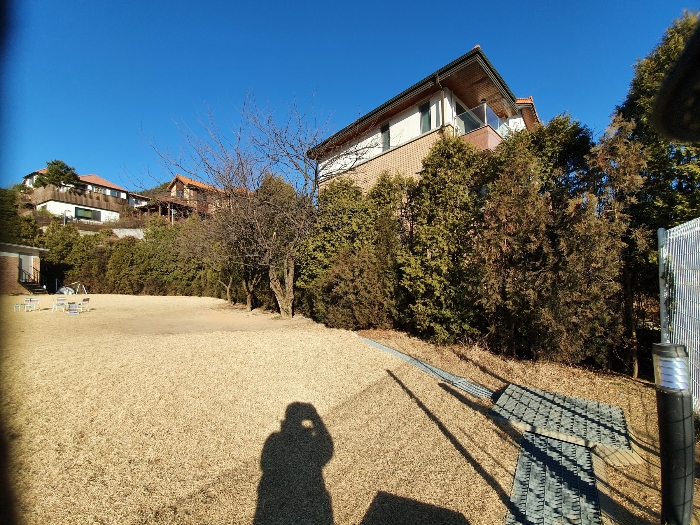 제시외물건(ㅅ) 수목