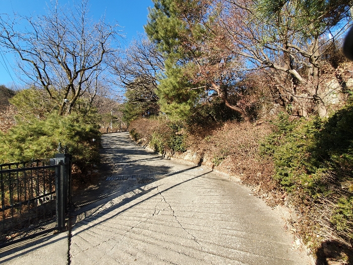 제시외물건(ㅅ) 수목