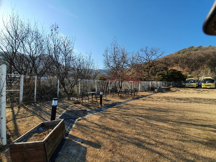 제시외물건(ㅅ) 수목 및 울타리