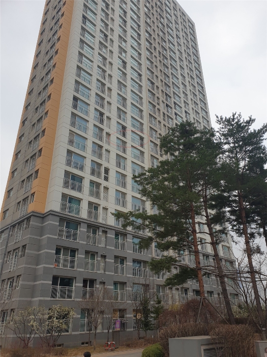 본건 동 전경
(남서측에서 촬영)