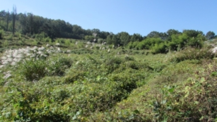 1번 물건 묵답 전경