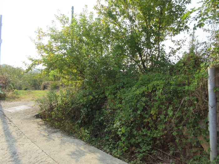 【 본 건 기호 29) 】