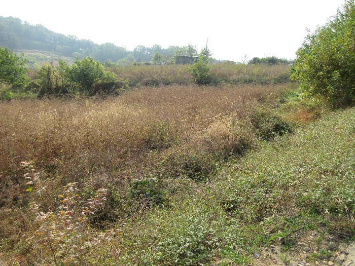 【 본 건 기호 33) 】