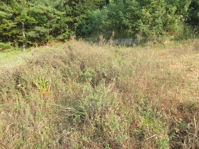 【 본 건 기호 36) 】