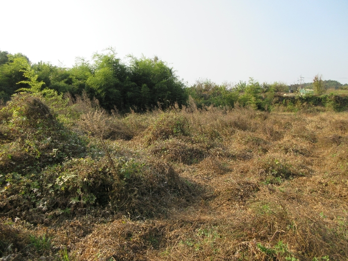 【 본 건 기호 37) 】