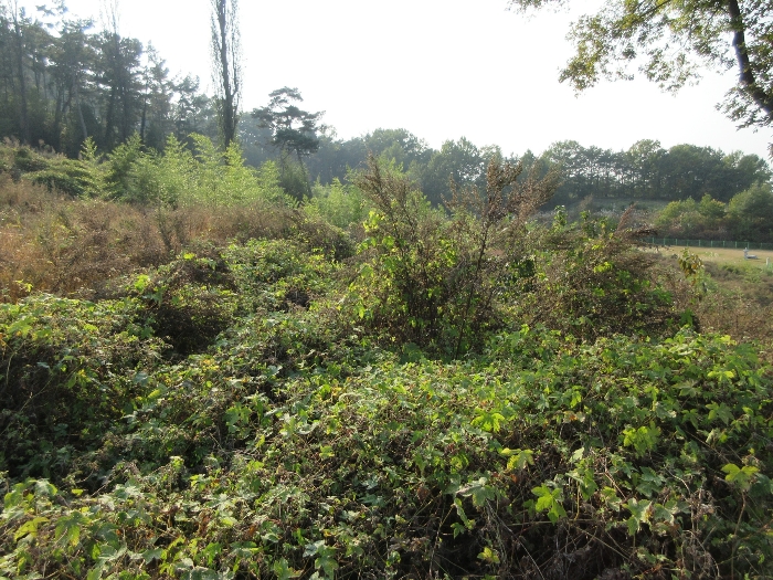 【 본 건 기호 12) 】