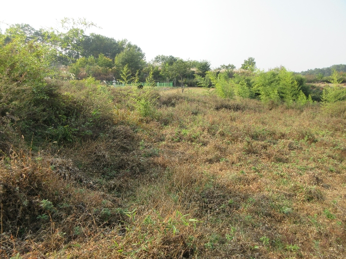 【 본 건 기호 14) 】